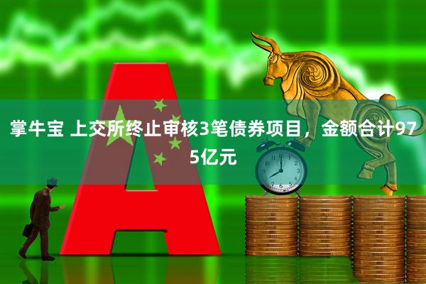 掌牛宝 上交所终止审核3笔债券项目，金额合计975亿元