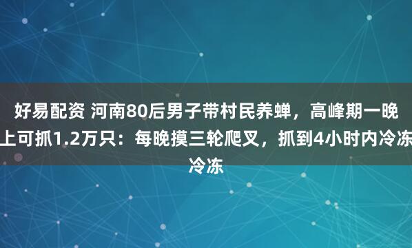 好易配资 河南80后男子带村民养蝉，高峰期一晚上可抓1.2万只：每晚摸三轮爬叉，抓到4小时内冷冻